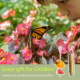 Oncpcare banana holder for garden wildlife viewing