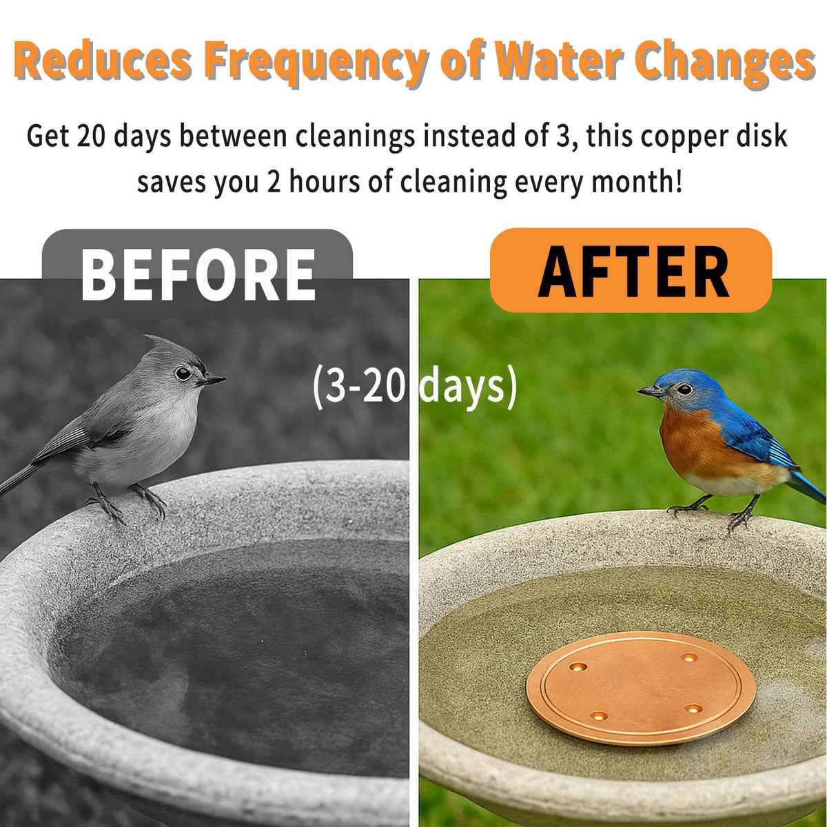 Oncpcare copper bird bath disk closeup, premium material for long-lasting patina