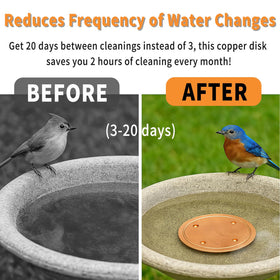 Oncpcare copper bird bath disk closeup, premium material for long-lasting patina