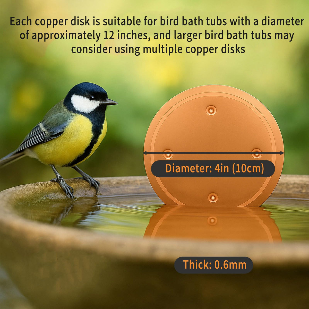 Oncpcare copper bird bath disk universal fit for many bowls