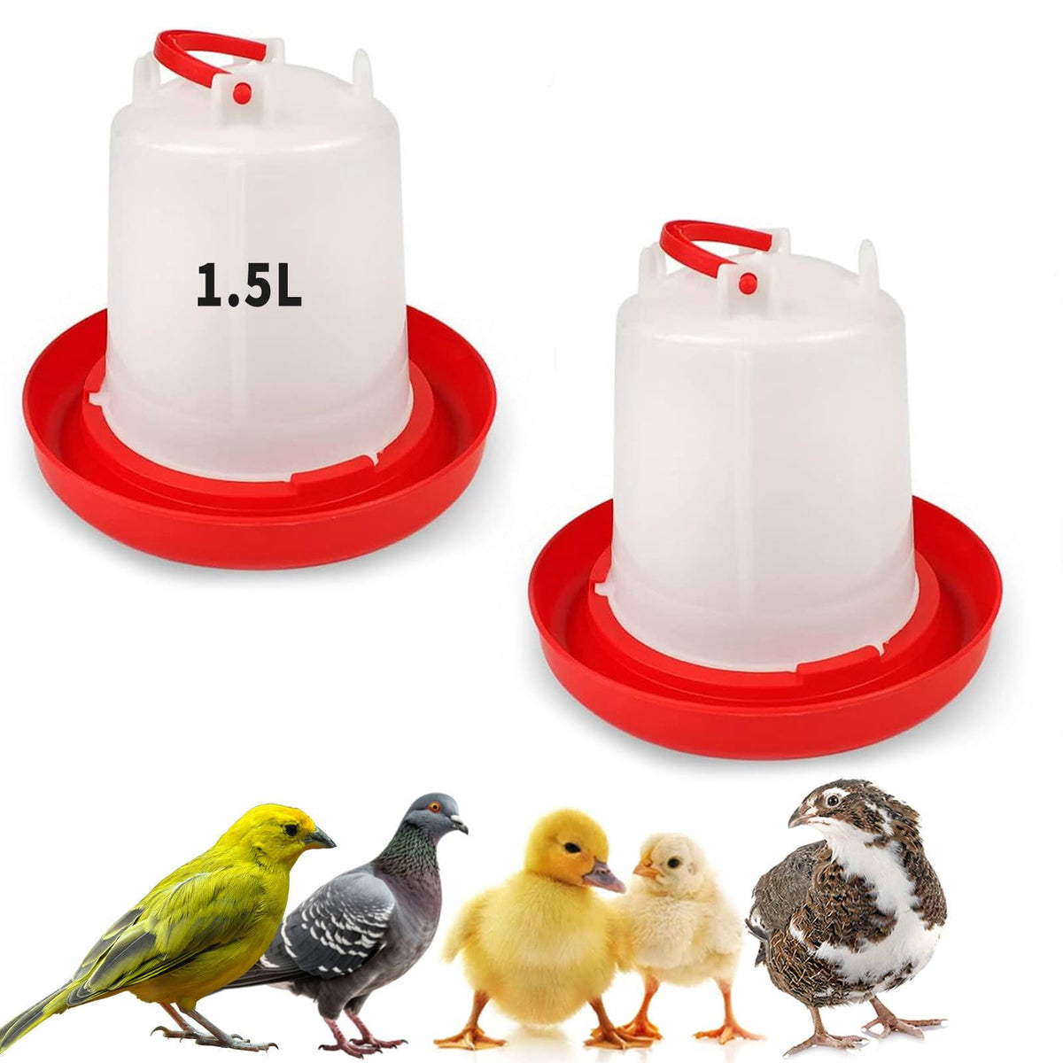 Oncpcare chick waterer 1.5L base prevents spills in coops