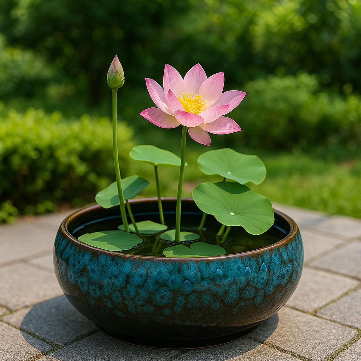 Oncpcare indoor outdoor garden decor bowl adds versatile water garden charm