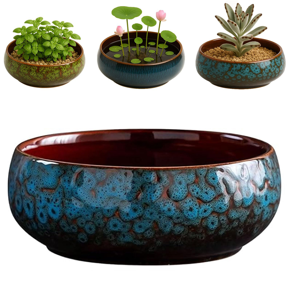 Oncpcare Lotus Bowl Planter front view in blue glaze for indoor water displays
