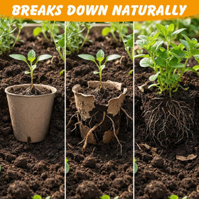 Ondware plant labels (50 count) help you organize seed varieties.