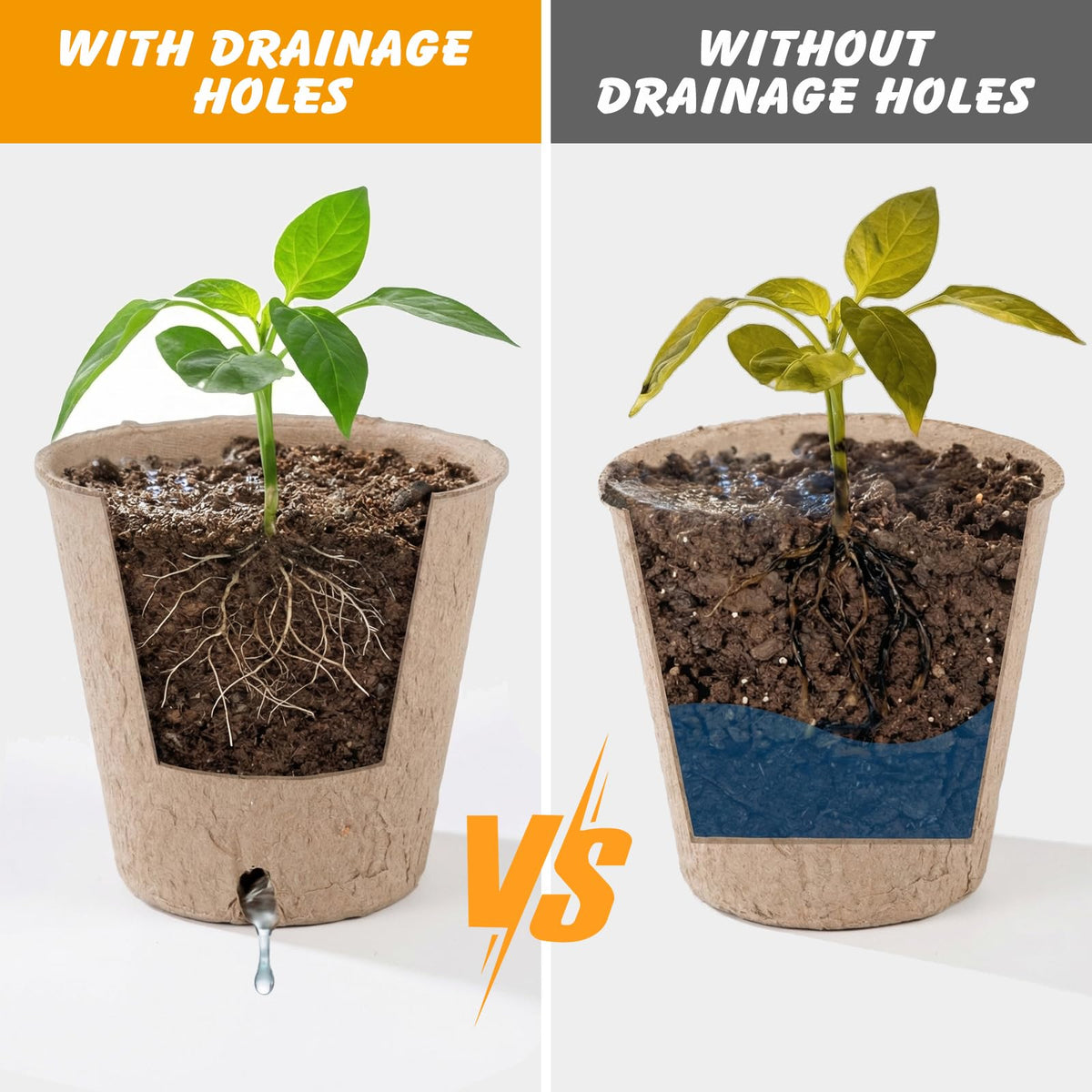 Ondware seed starter kit suitable for indoor and outdoor use.
