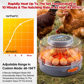 Automatic temperature control adjusts as incubation days progress for consistency.