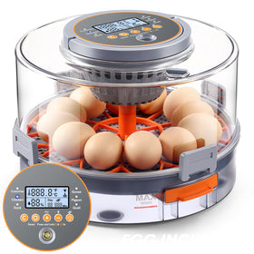 OneAmg incubator with large capacity 12-40 eggs and clear display for easy monitoring.