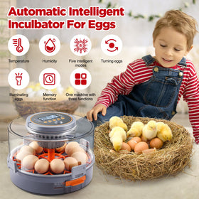 Integrated brooding mode keeps newly hatched chicks warm briefly inside the unit.