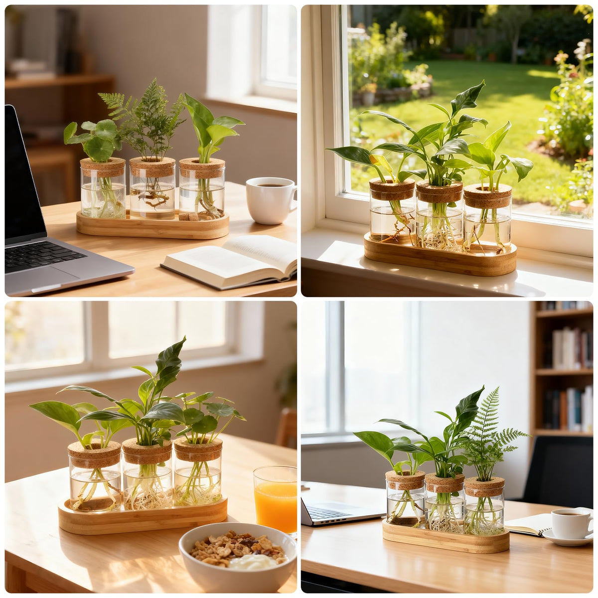 Onepeng clear vase enhances home or office decor with natural light