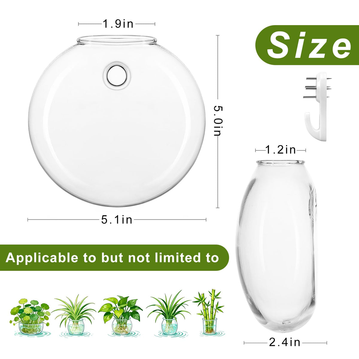 onepeng glass terrarium closeup highlights clear borosilicate glass and sleek design.