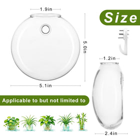 onepeng glass terrarium closeup highlights clear borosilicate glass and sleek design.