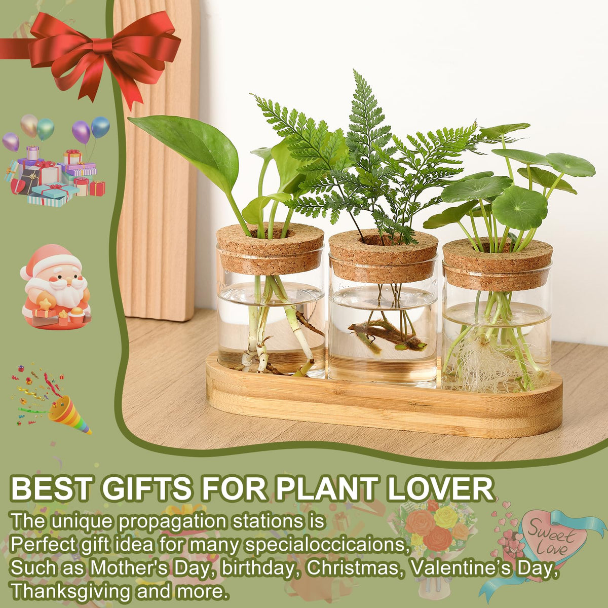Onepeng hydroponics vase with transparent walls for sunlight exposure