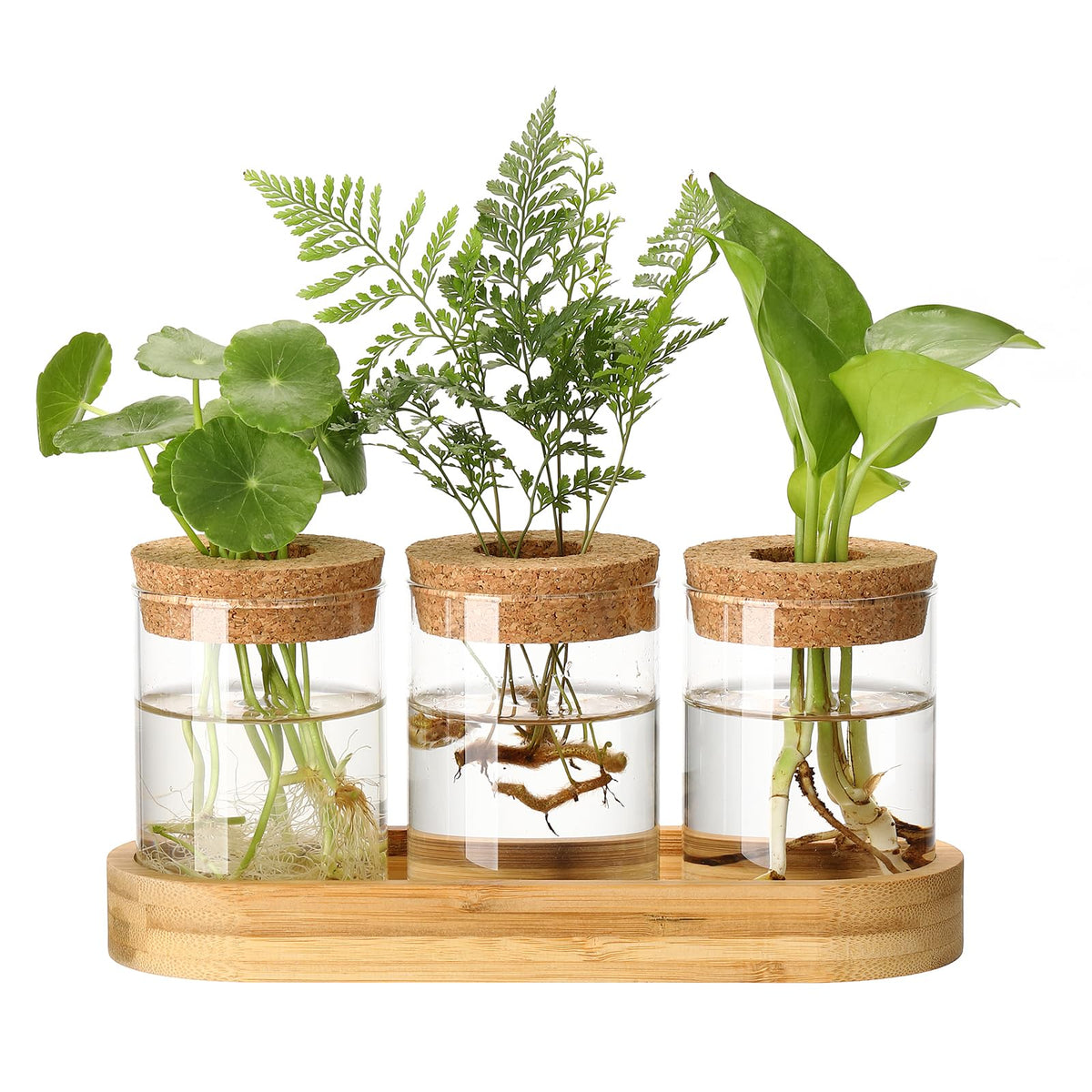 Onepeng propagation station with lid on wooden stand for hydroponics and observation