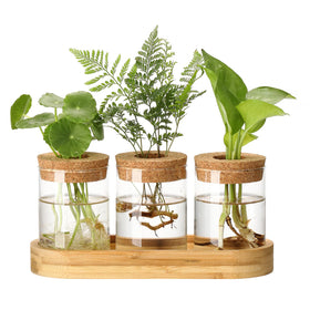 Onepeng propagation station with lid on wooden stand for hydroponics and observation