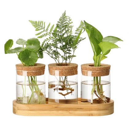 Onepeng propagation station with lid on wooden stand for hydroponics and observation