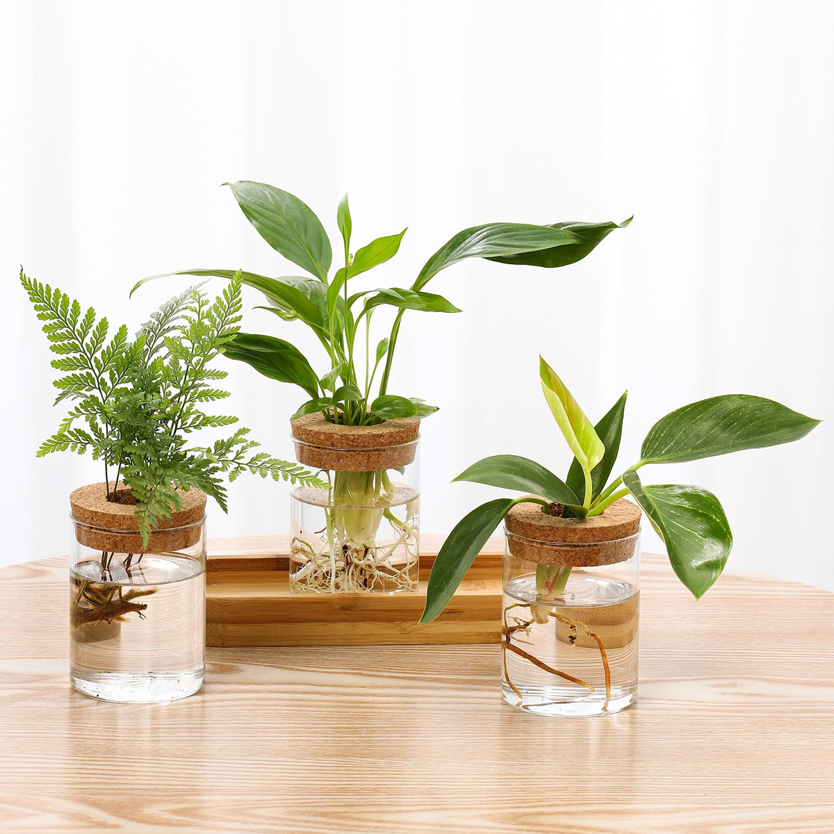Onepeng tabletop planter kit ready for DIY plant cuttings