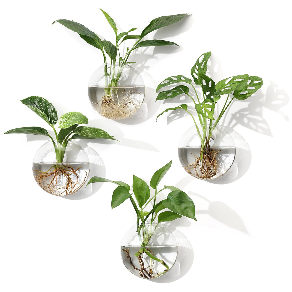 onepeng wall hanging planter 4pack setup showcases modern space-saving decor for plants.