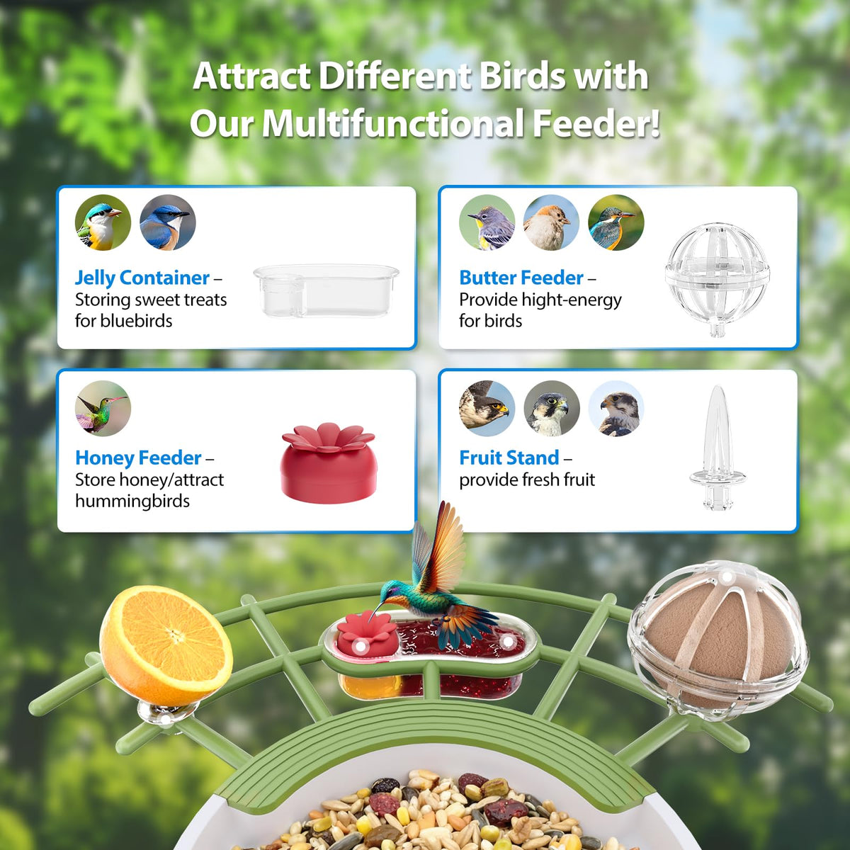 Onforu cloud or microSD storage keeps bird videos accessible