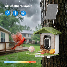 Onforu four user sharing lets family watch together from anywhere
