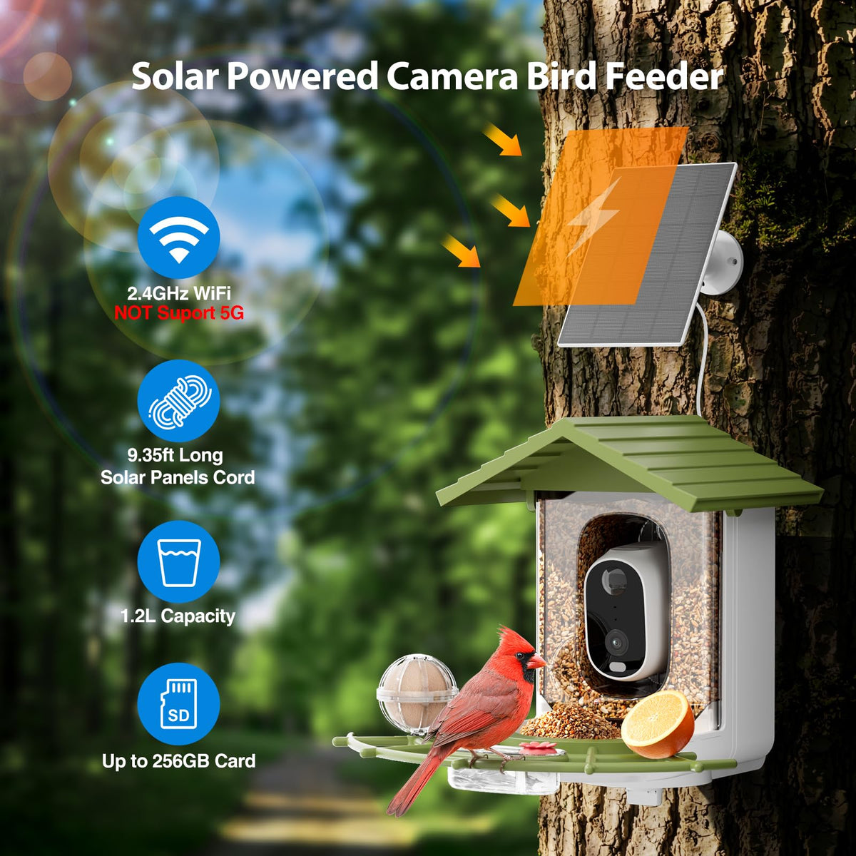 Onforu multi feed design ports for orioles, bluebirds, hummingbirds