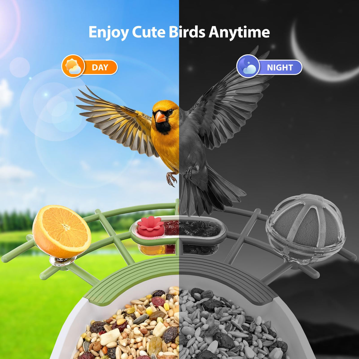 Onforu solar powered outdoor bird feeder powering year round viewing