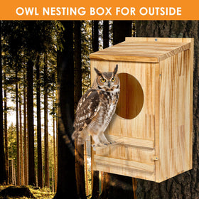 ONKO Owl House easy-clean latch illustrates hygienic, quick debris removal.