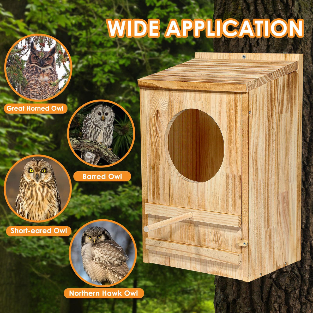 ONKO Owl House interior reveals spacious nesting space for Great Horned Owls.