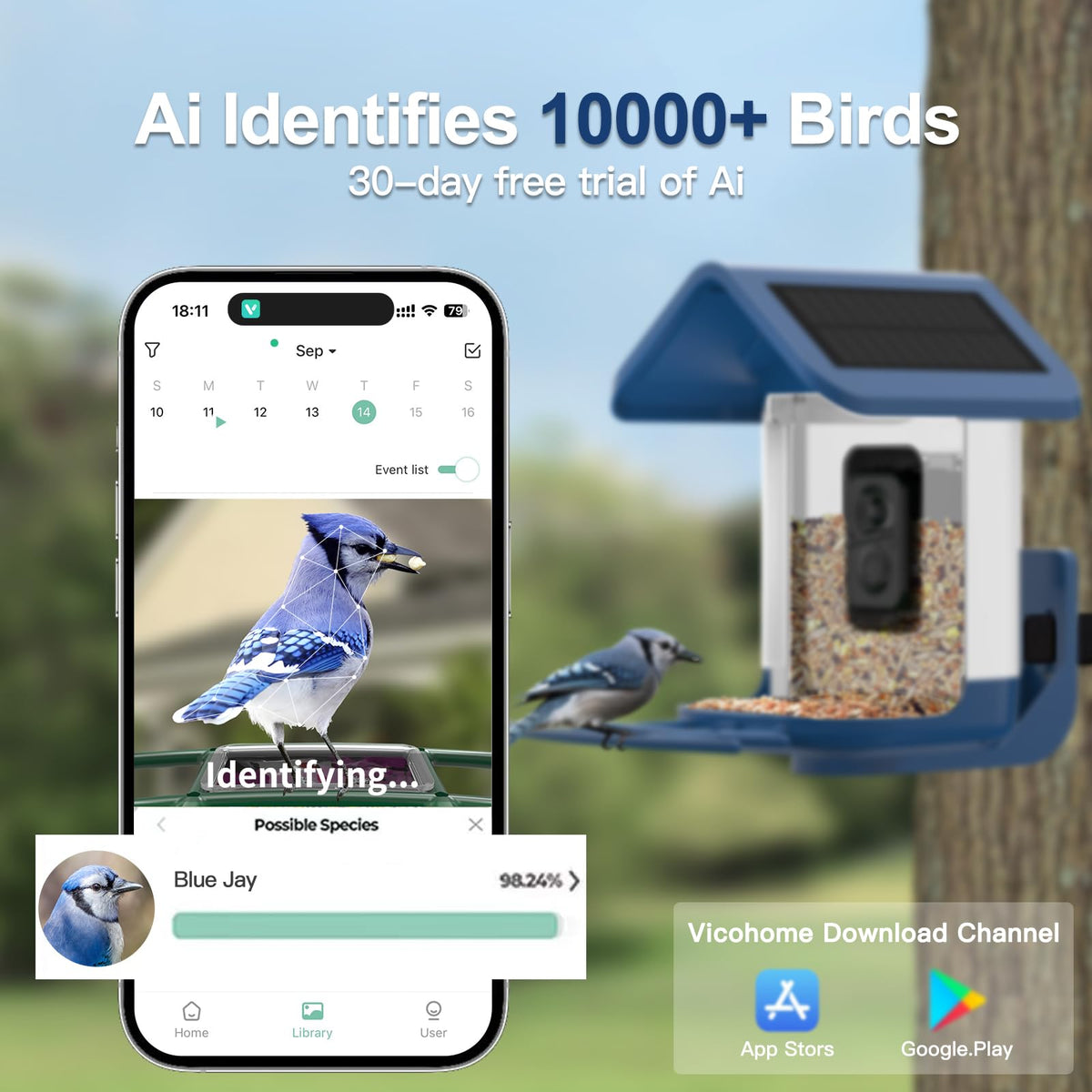 Onlyfly 2K live feed provides crisp day and night viewing