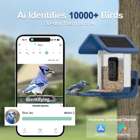 Onlyfly 2K live feed provides crisp day and night viewing