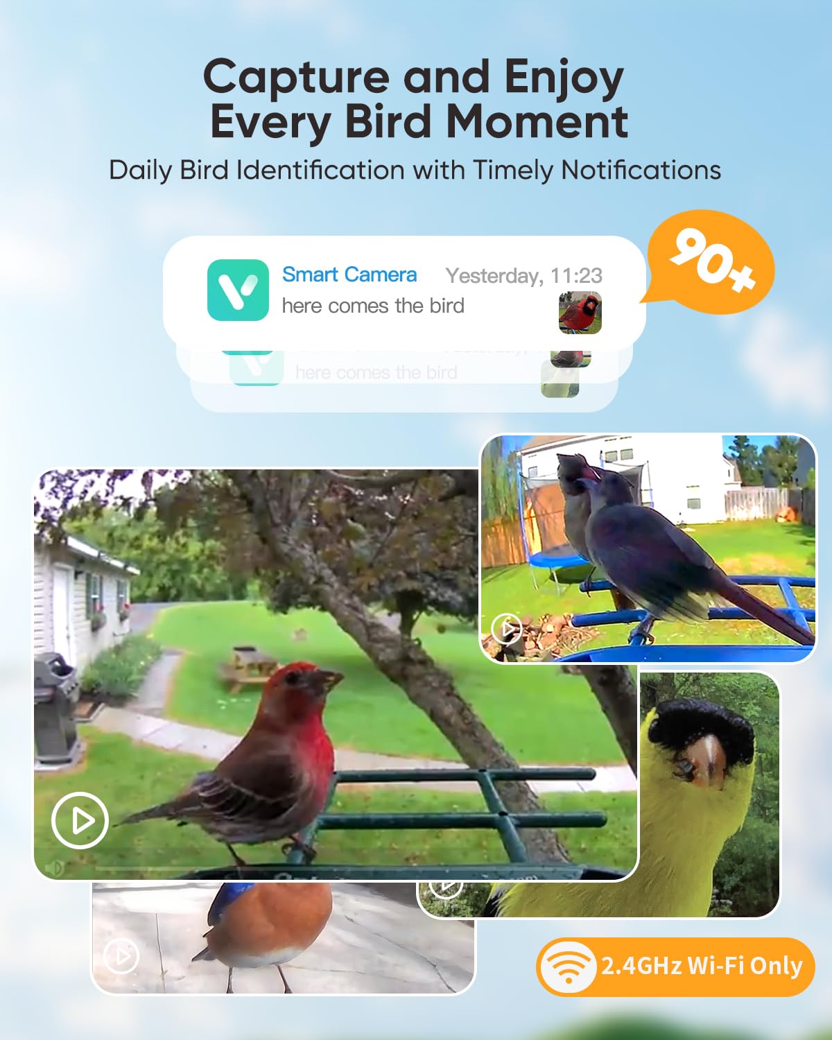 Onlyfly AI recognition identifies species at the feeder