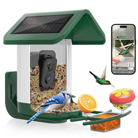 Onlyfly Bird Feeder Camera captures vivid birds at the feeder in 2K clarity.