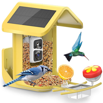 Onlyfly bird feeder camera 2K live stream captures vivid colors without disturbing birds