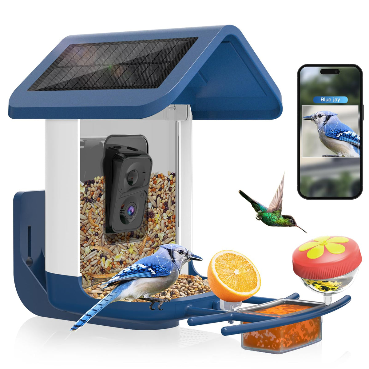Onlyfly Bird Feeder Camera close-up reveals feather details for species ID