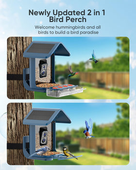 Onlyfly hummingbird perch decor invites tiny hummers to feed