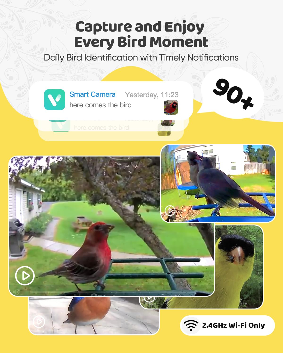 Onlyfly solar powered bird feeder keeps camera charged for long viewing sessions