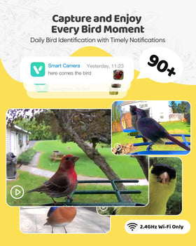 Onlyfly solar powered bird feeder keeps camera charged for long viewing sessions