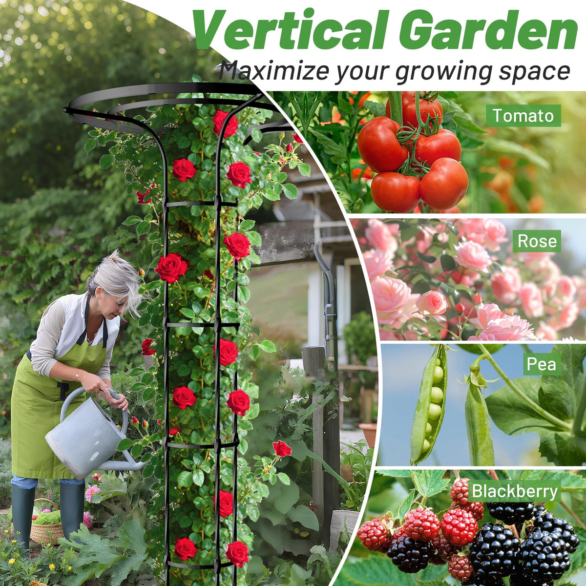 OnlyGarden PE-coated steel trellis resists weather and heat.