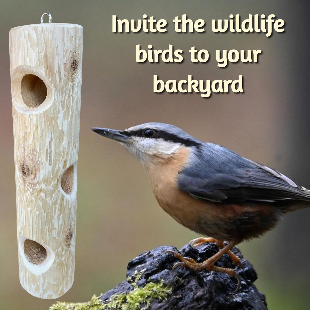 Hanging chain and eye screw attached to the ONWRD suet log feeder