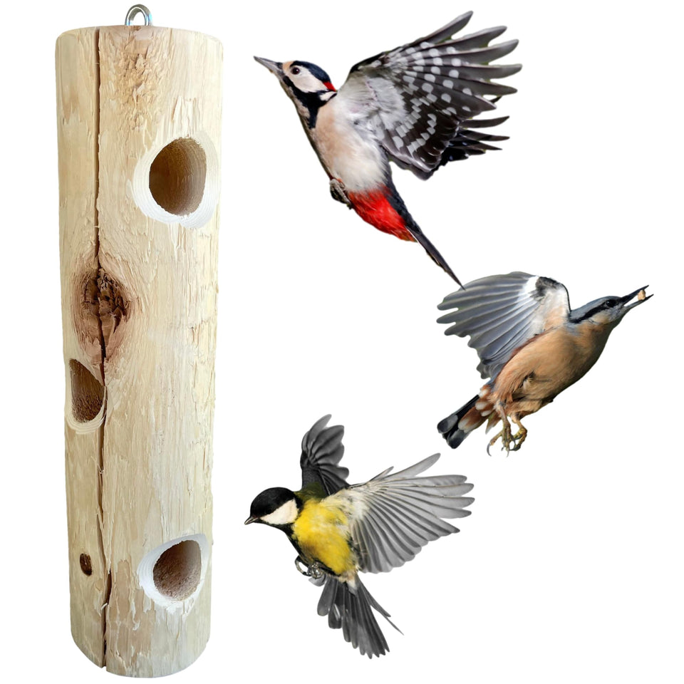 ONWRD natural cedar suet log feeder viewed from the side showing three 1.5-inch holes for suet