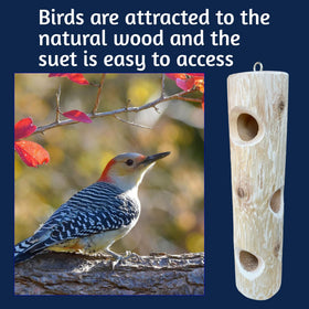 Rough-texture cedar wood of the ONWRD suet log feeder highlighting natural finish