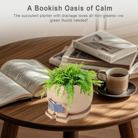 Ideal for mini succulents, herbs, and air plants.