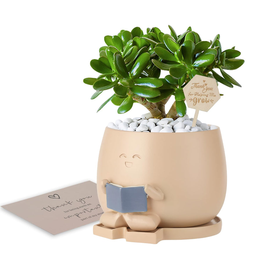 Onzbala Bookworm Planter with drainage holes for healthy roots.
