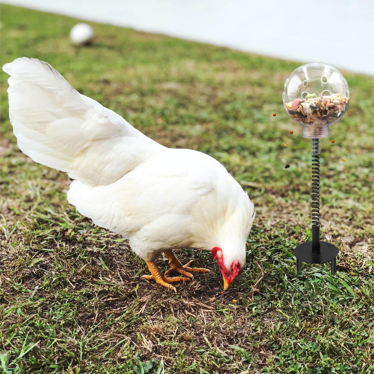 Oooct ground plug enables quick, stable coop installation.