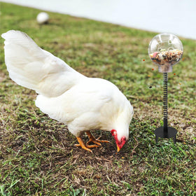 Oooct ground plug enables quick, stable coop installation.