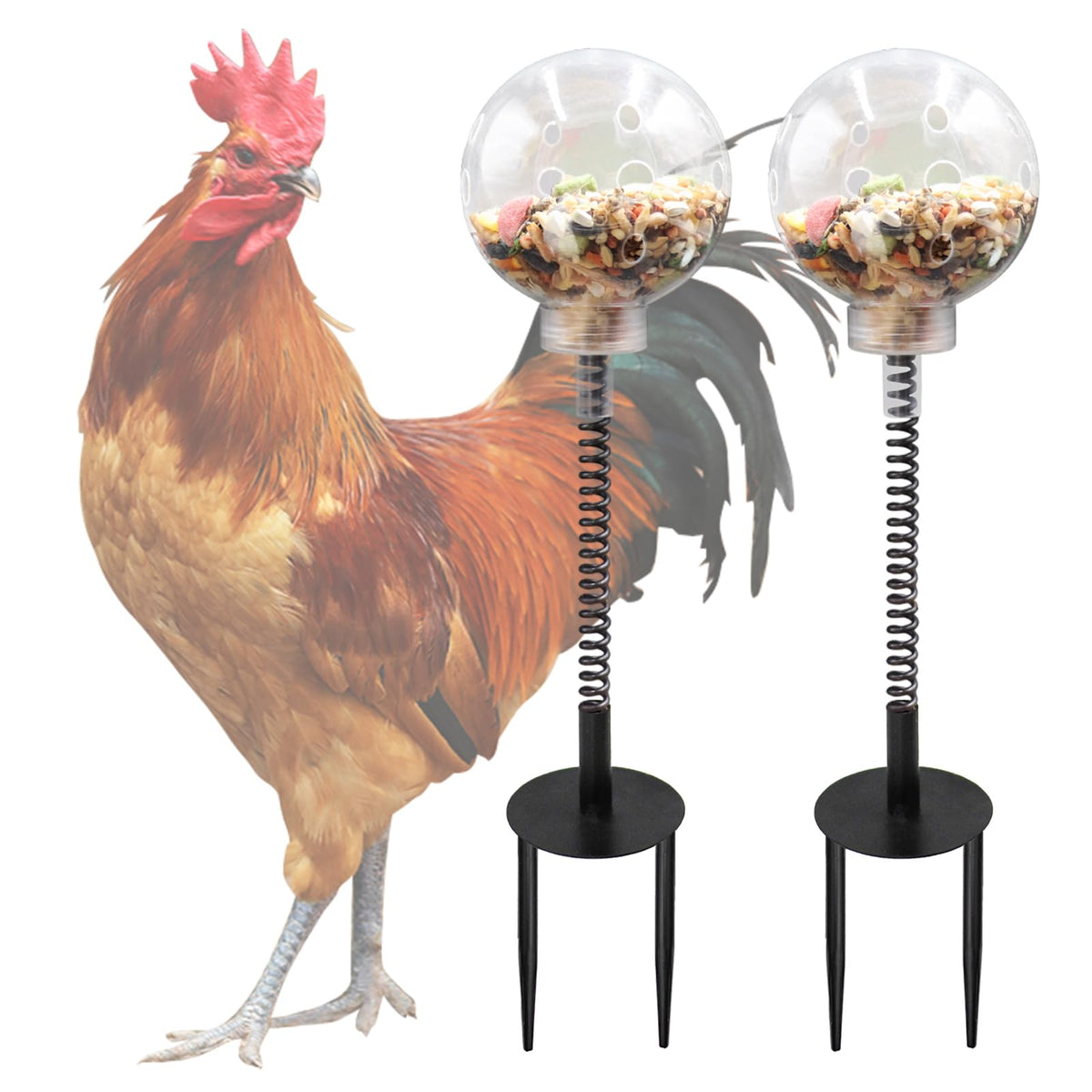 Oooct 2-pack chicken pecking toy with swing feeder in coop setup encourages interactive feeding.