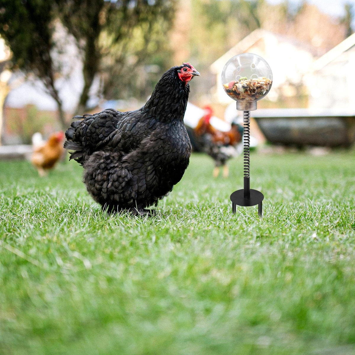 Oooct chicken pecking toy features swinging metal spring for dynamic play.