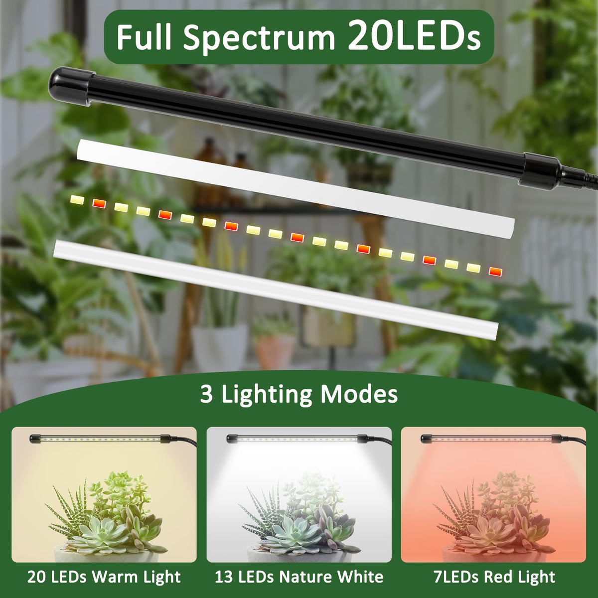 OPENBEAUTY LED Grow Light enhances succulent color with full-spectrum indoor lighting.