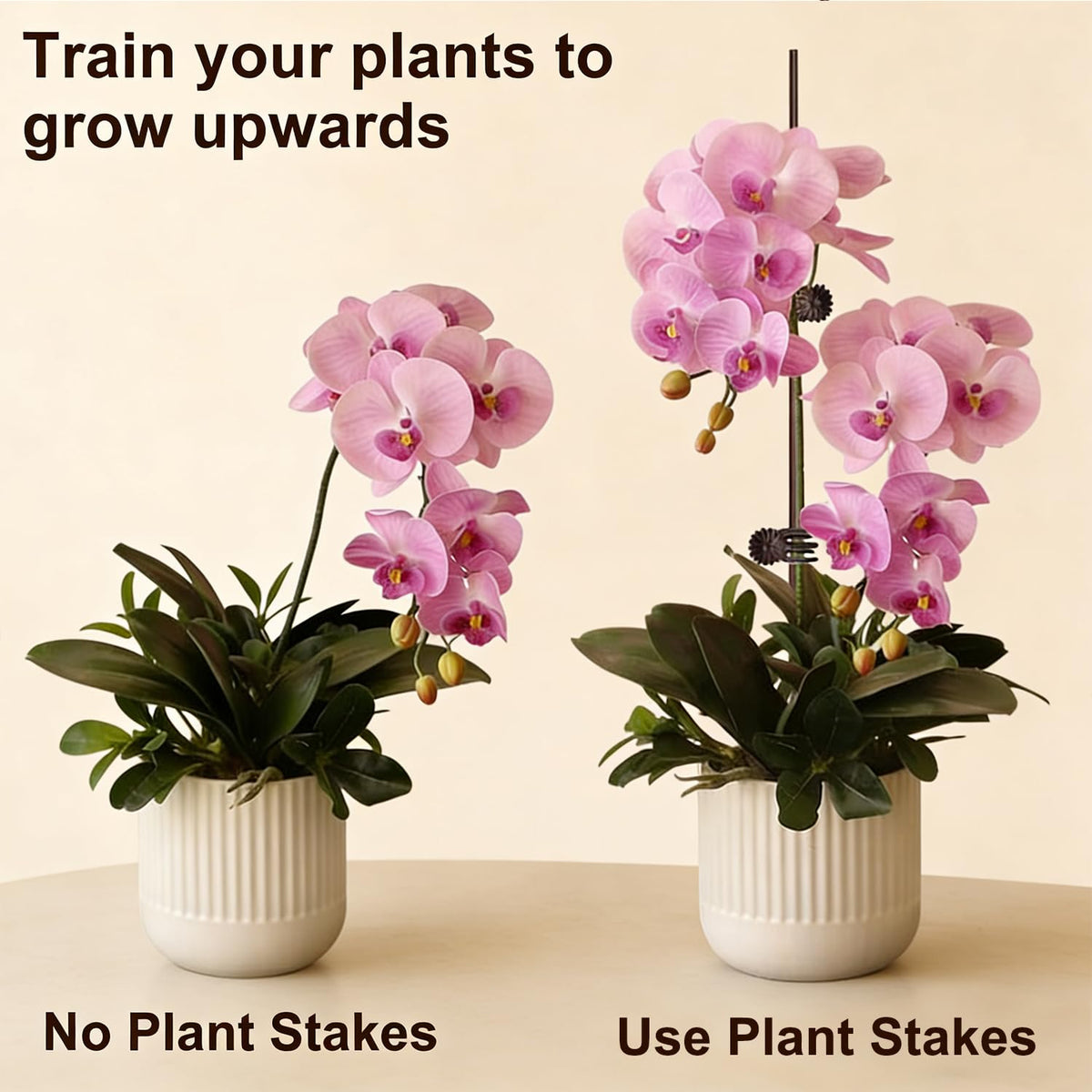 OPPERLLY orchid stem support stabilizes delicate blooms.