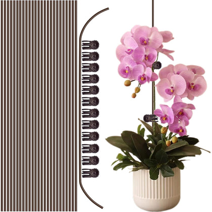 OPPERLLY 15-inch bendable stake supports upright orchid growth.