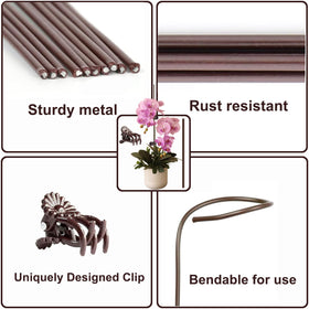 OPPERLLY rose stem stabilizer guides upright growth.